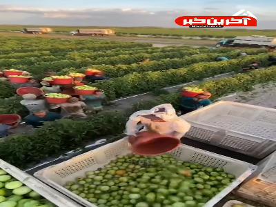 هیچ لذتی به اندازه کار گروهی نیست