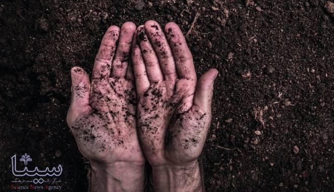 خاک چگونه کربن را ذخیره می کند؟