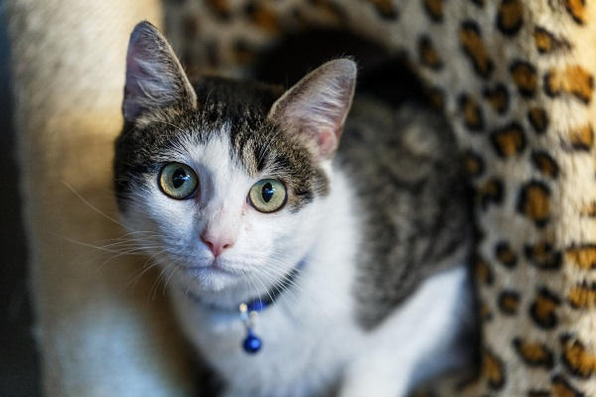 چرا اینجوری شد