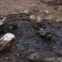 ۱۰۰ کشته بر اثر انفجار یک پالایشگاه نفت در نیجریه