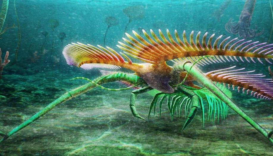 کشف فسیل یک موجود باستانی عجیب و ترسناک که چشم نداشته است!