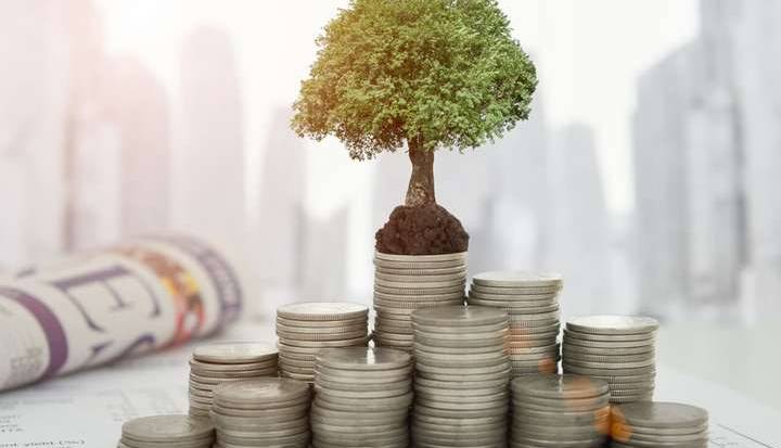 معاون برنامه و بودجه: برنامه ایجاد نهاد مالی پولی در استان‌ها را داریم