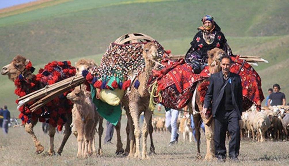 عشایر کشور رایگان بیمه می‌شوند