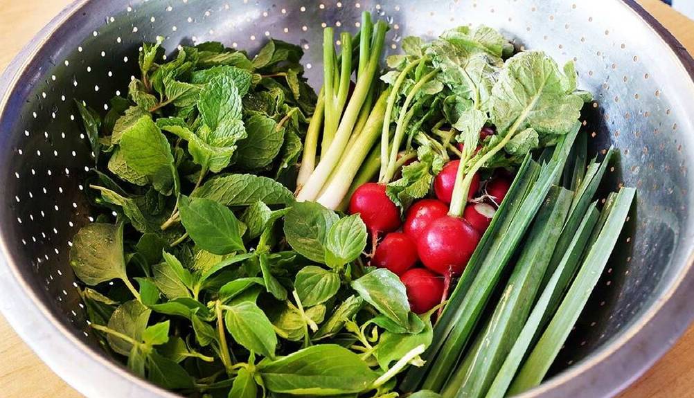 چند ترفند ساده برای تازه نگه داشتن سبزی خوردن