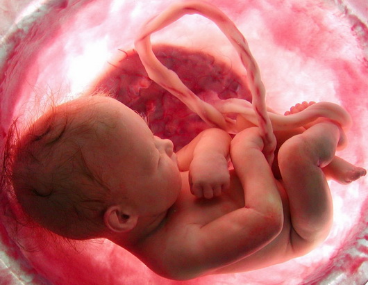 ویدئویی پراحساس از ماجرای سق‍‍‍‍ط نکردن یک کودک!