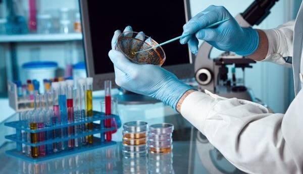 خدمات آزمایشگاهی از پوشش بیمه خارج نشده است