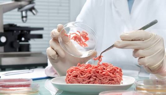 تاثیر مثبت ۸۰ درصدی نسل جدید غذاها بر محیط زیست