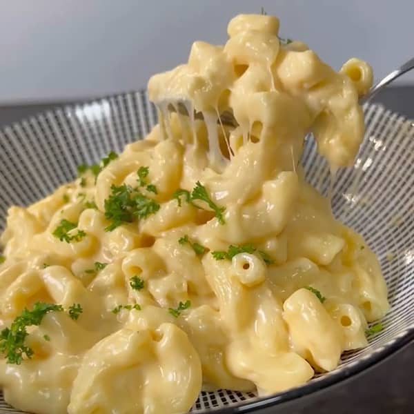 پاستا با سس پنیر یک غذای بین اللملی مشهور پاستا با سس پنیر یک غذای بین اللملی مشهور