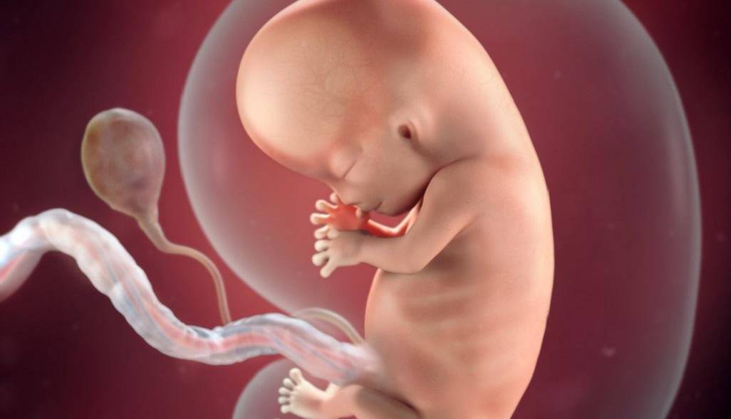 وزارت بهداشت: مافیای غربالگری جنین ۱۰۰۰ میلیارد تومان سود به جیب می‌زند