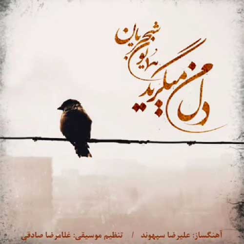 آهنگ جدید/ همایون شجریان «دل من می گرید» را منتشر کرد