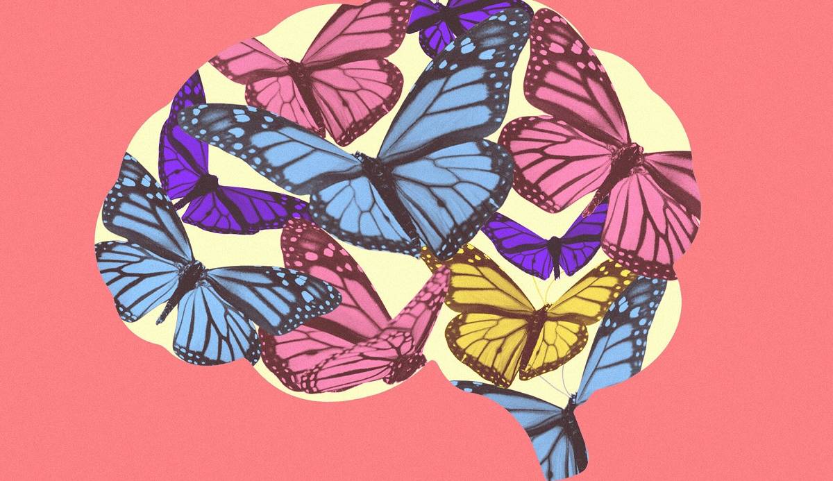 چگونه عشق بر عملکرد مغز ما تاثیر می‌گذارد؟