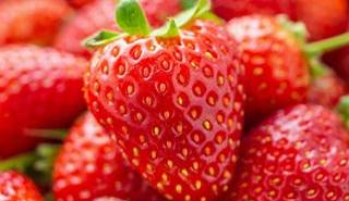مواد غذایی موثر در جلوگیری از تشنگی برای روزه داران