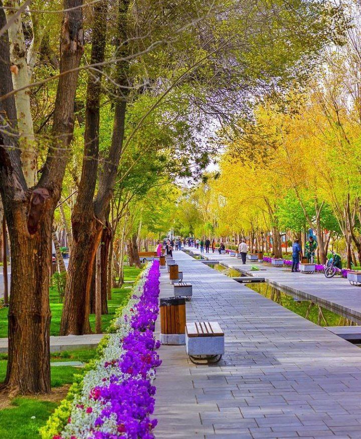 چهارباغ اصفهان در بهار