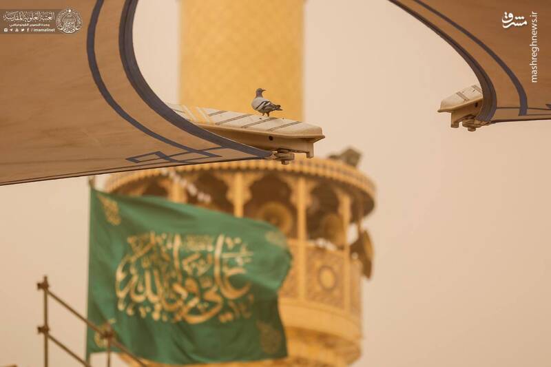 عکس/ جولان گرد و غبار در نجف