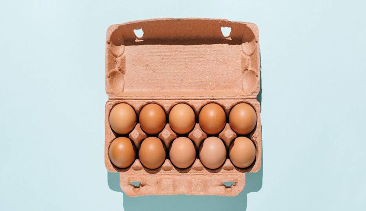 موافقان و مخالفان تخم مرغ چه می‌گویند؟