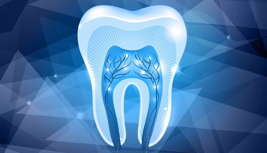 دانشمندان در حال تحقیق برای رشد دادن دندان جایگزین هستند