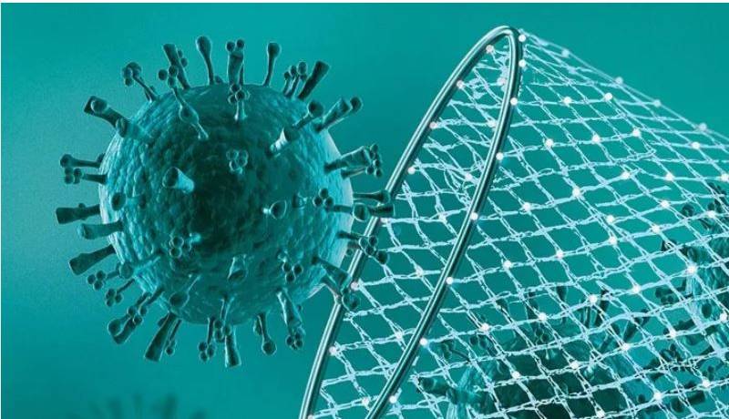 کدام ویروس‌های حیوانی می‌توانند انسان را آلوده کنند؟