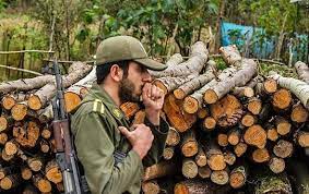 کشف ۱۰ تن چوب قاچاق در آمل