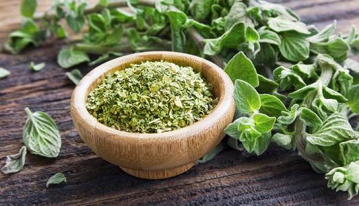 گیاهی که مصرفش سرماخوردگی را درمان، عملکرد روده ها را منظم و بوییدن آن انرژی بدن را افزایش می‌دهد