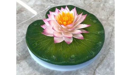 زیباترین گل نیلوفر آبی که خوردنی است!