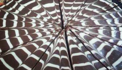 ایده ای برای تزیین کیک به شکل زبرا