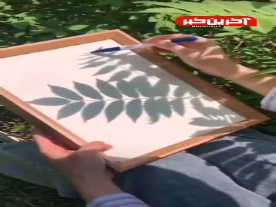 شاهکار طراحی با استفاده از سایه برگ‌ها