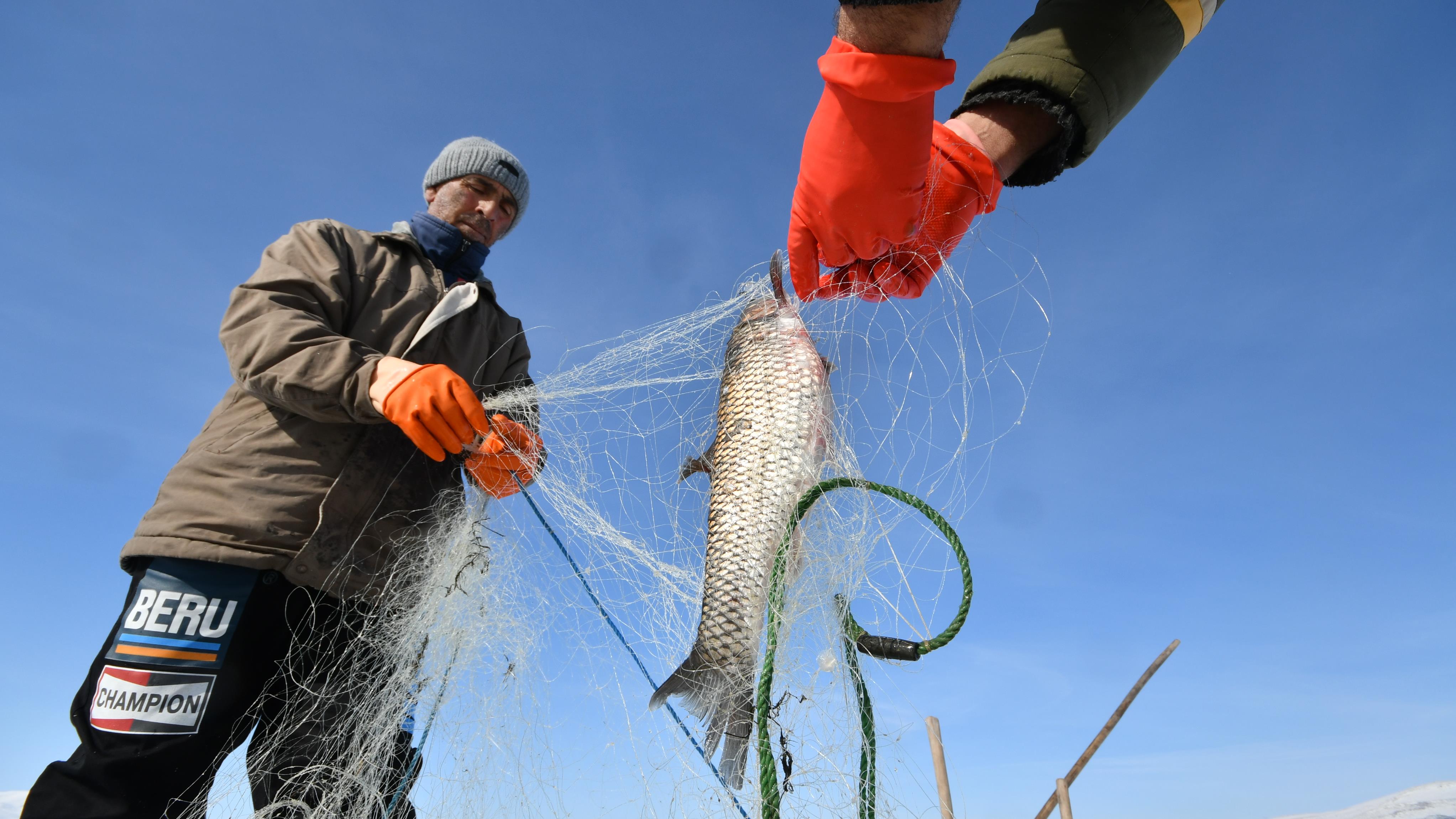 ماهیگیری به شیوه جدید