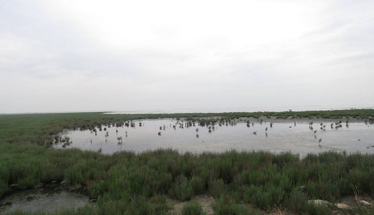 ایروبی کانال‌ آشوراده، خطری در کمین میانکاله