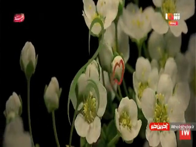 اجرای ترانه آذری از عطا الله شاه مرادی