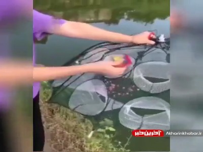 روشی متفاوت برای ماهیگیری