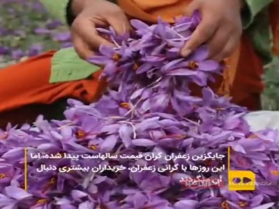 پول زعفران ندارید، مصنوعیاش را بخرید پول زعفران ندارید، مصنوعیاش را بخرید