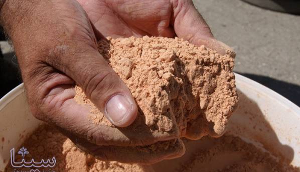 راهکار حفاظت از محیط زیست؛ پروتئین میکروبی را جایگزین گوشت قرمز کنید