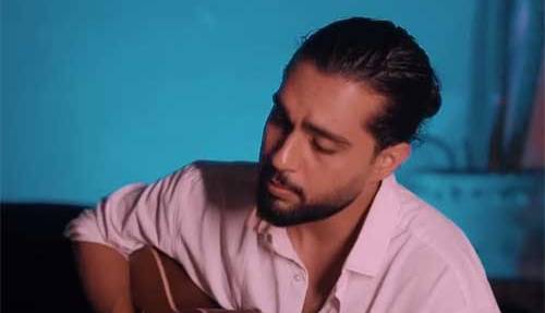 ورژن گیتار آهنگ حامیم به نام «رز سفید»