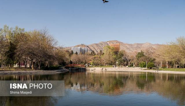 ورود دادستانی و معاون رئیس جمهور به ساخت‌وساز در مجاورت باغ گیاه‌شناسی