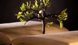شاعرانه/ مرا به هیچ بدادی و من هنوز بر آنم؛ که از وجود تو مویی به عالمی نفروشم