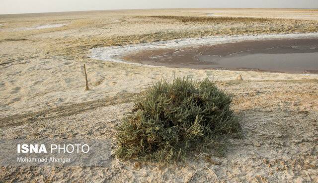 افزایش کانون‌های گرد و خاک نسبت به سال گذشته