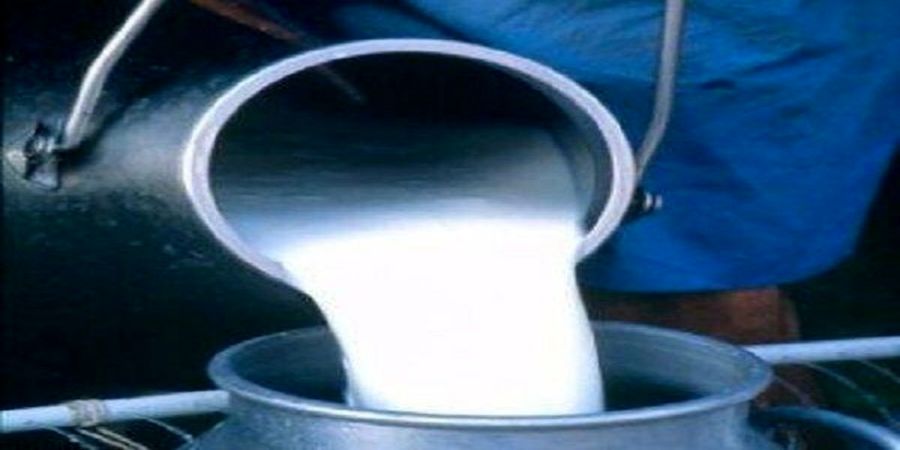 افزایش دو برابری نرخ شیر خام صحت دارد؟