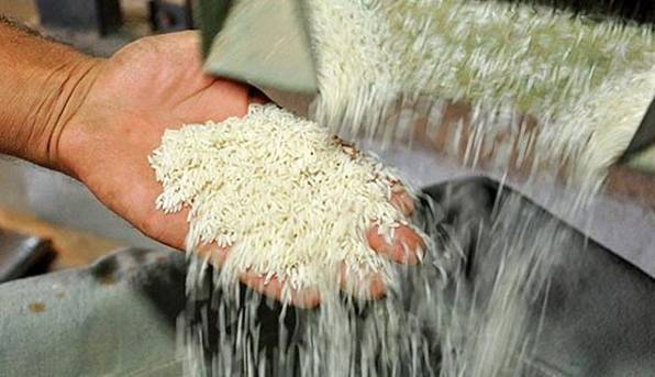افزایش مجدد ۵ تا ۱۰ درصدی نرخ برنج؛ کاهش موجودی در انبارهای شمال