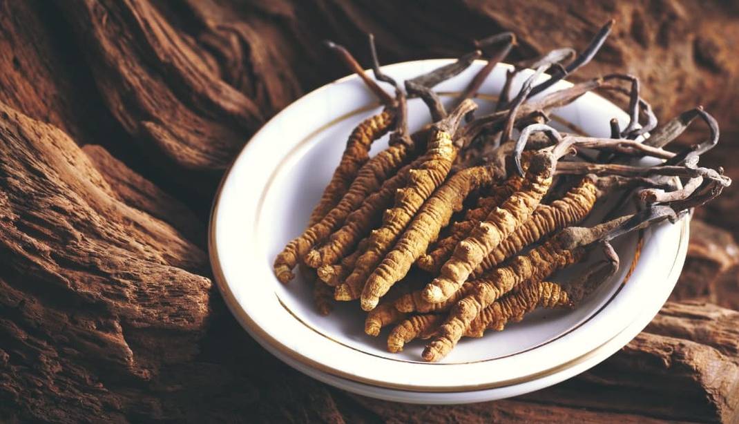 از بهترین مکمل های تقویت سیستم ایمنی