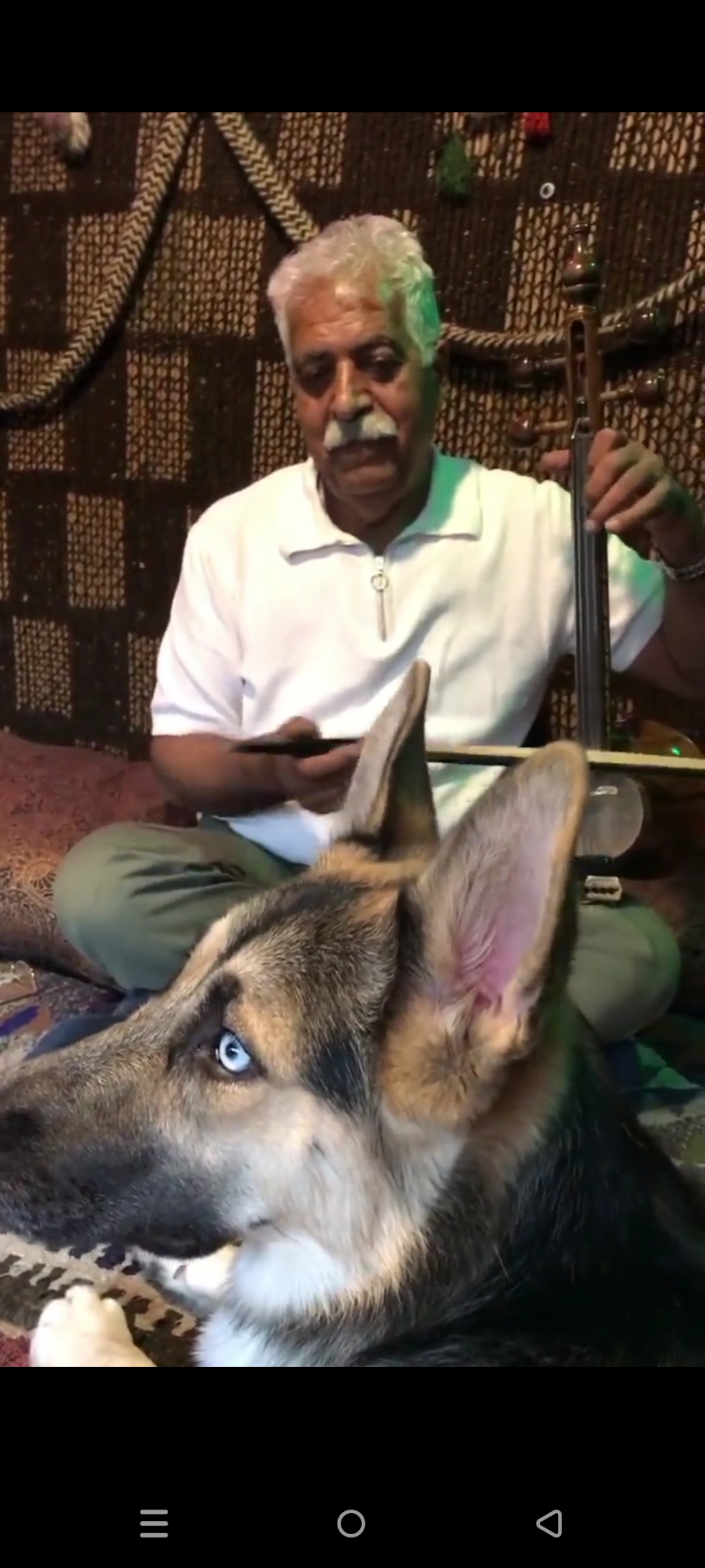 وقتی که سگ هم با صدای کمانچه جادو میشه