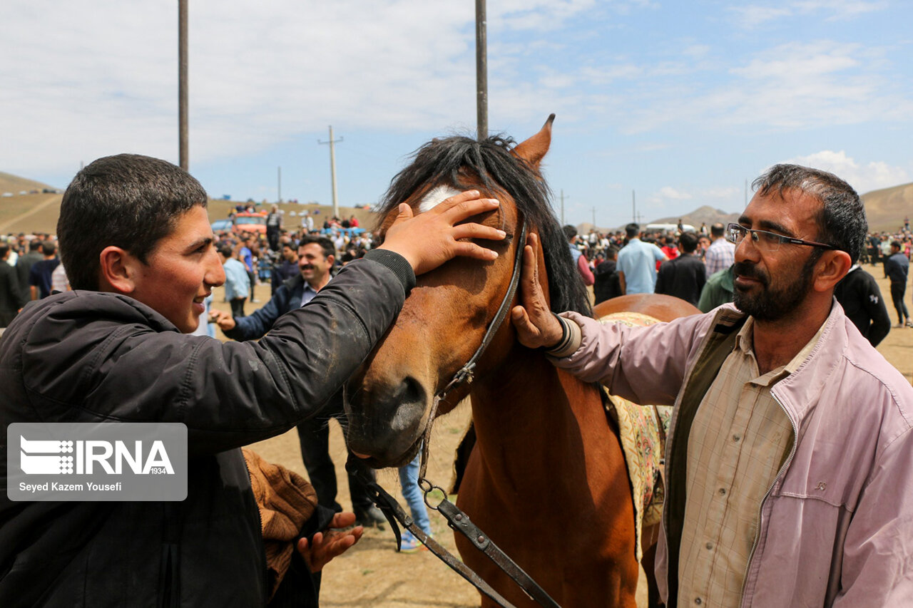 عکس/ اسب سواری بانوان در جشنواره فرهنگی ورزشی عشایر