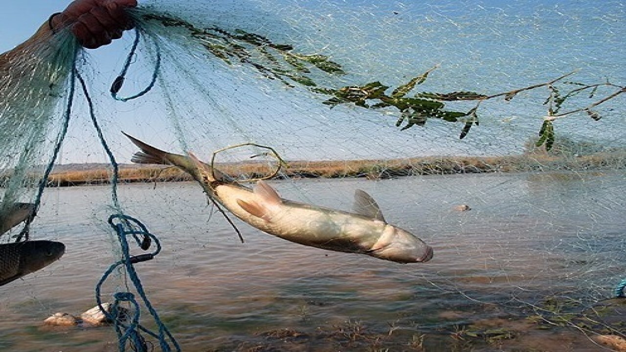 جلوگیری از تخلف صید ماهی در رودخانه باباامان بجنورد
