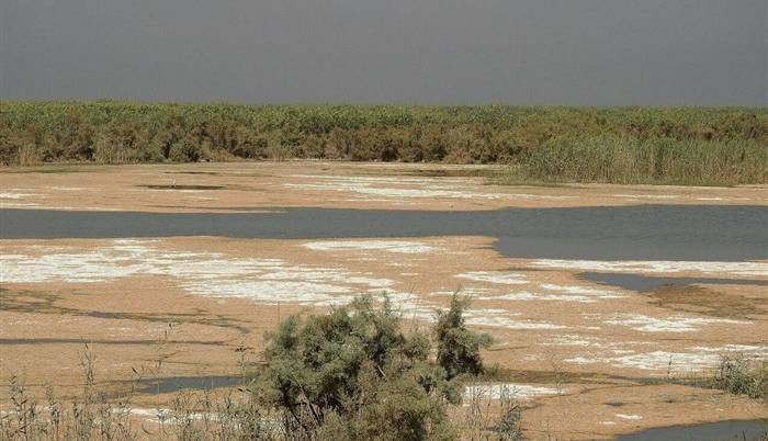 تبدیل ۱.۵ میلیون هکتار از تالاب‌های کشور به کانون گرد و غبار