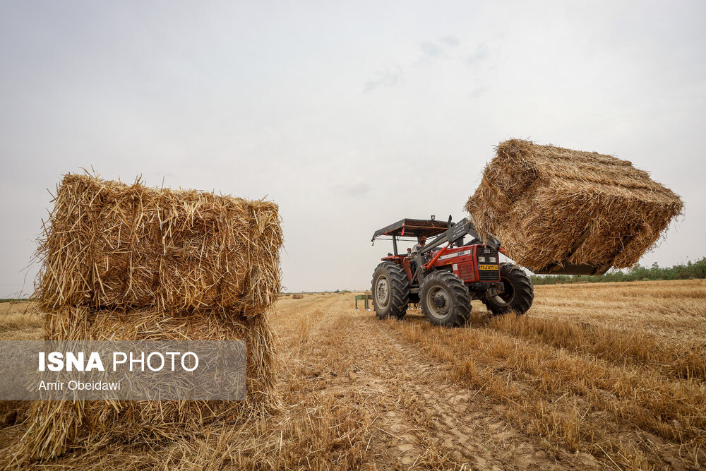 عکس های منتخب هفته؛ نمایی زیبا از روستای «سیاهپوش» قزوین