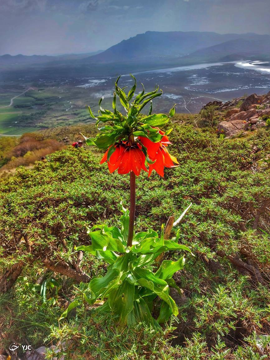 طبیعت روح نواز کوهستان کلار