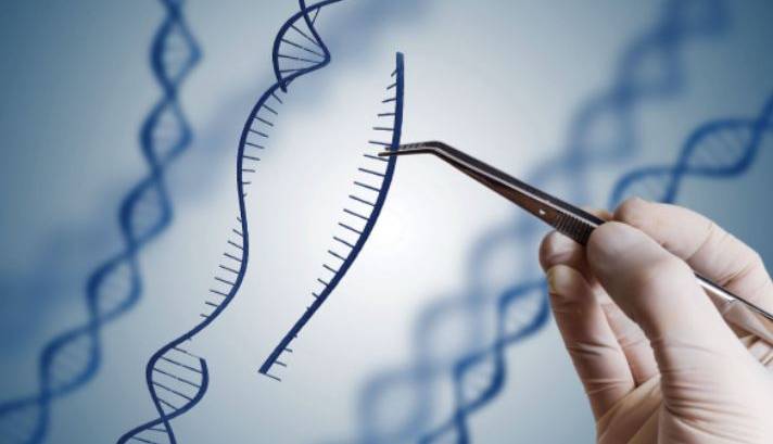 درمان اضطراب و اعتیاد به الکل با کمک ویرایش ژنی