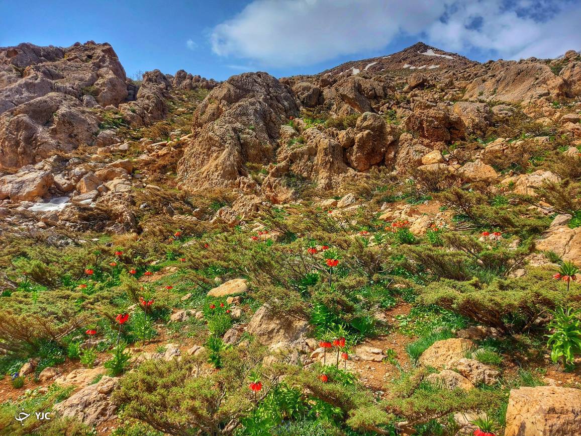 طبیعت روح نواز کوهستان کلار