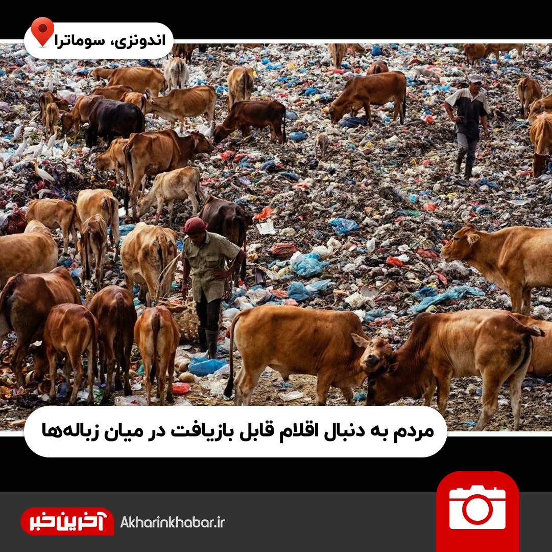 عکس‌های منتخب هفته؛ گاوی که قصد متلاشی کردن صورت گاوباز را دارد!