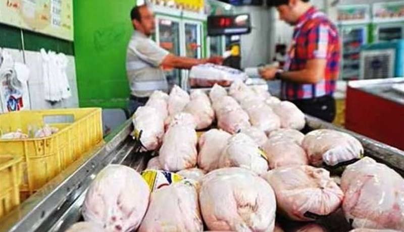 ۷ هزار تن مرغ گرم در قزوین روانه بازار میشود