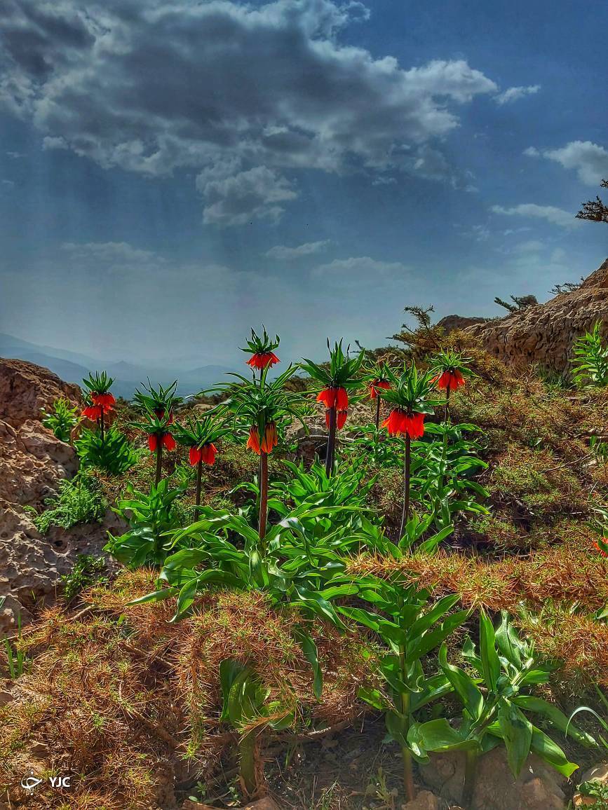 طبیعت روح نواز کوهستان کلار